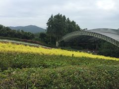 -东部华侨城