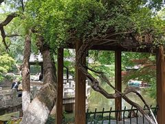 -虞山风景区