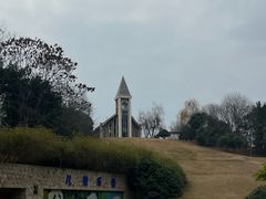 -成都保利公园皇冠假日酒店(熊猫基地店)