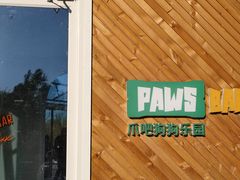 -爪吧宠物乐园·宠物泳池(温榆河示范区店)