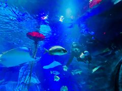 -沈阳海洋探索中心