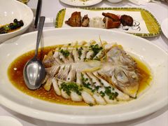 -骏莱海鲜鱼港(五角场店)