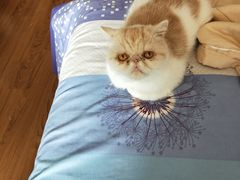 -老季市·三代非遗传承·地标美食老汁鸡(工农路店)