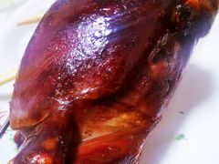 -伊通烧鸽子碳缸烧烤海鲜(隆礼胡同店)