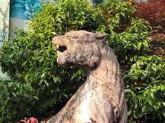 -藏龙百瀑风景区