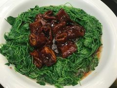 -新南华大酒店(广中店)