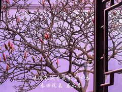 -耦园