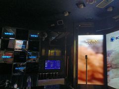 -温莎KTV(珠江路店)