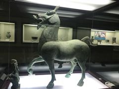 -广西壮族自治区博物馆