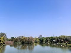 -海珠湖公园