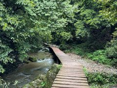 -青城山