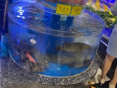 -新海渔港·胶东海鲜家常菜·家宴(奥体中心店)