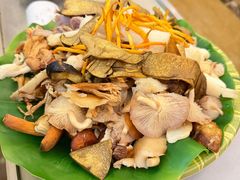 -野菌园·野生菌火锅首创第一家(关兴路总店)