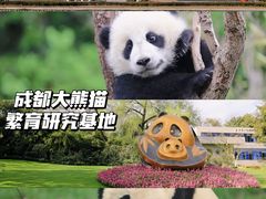 -成都动物园