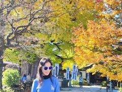 -医王山·飞騨国分寺