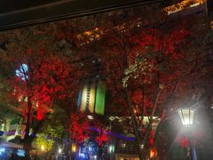 -甘尼仕印度餐厅爵士酒吧(阳春巷店)
