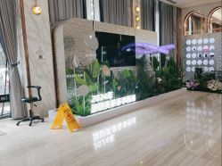 -深圳美莱医疗美容医院