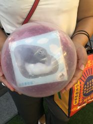 -卡通尼·Safari非洲探索乐园·生日会(金桥国际商业广场店)