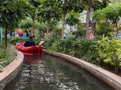 -南宫五洲植物乐园