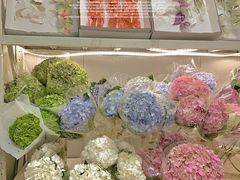 -溪岸路花鸟市场