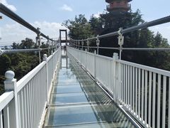 -塔云山