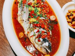 老坛剁椒鱼头-洞庭渔人(沙湾店)
