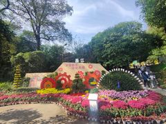 -南山植物园