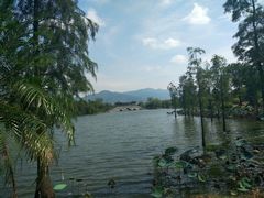 -飞来湖湿地公园