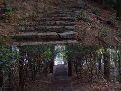 -番禺大夫山森林公园