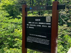 -庐山风景区花径公园