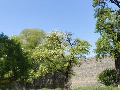 -北京明城墙遗址公园