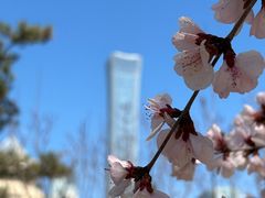 -金湖港式餐厅(建外店)