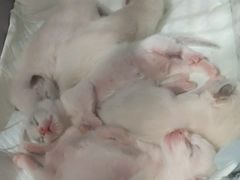 -iF摄影•全家福•证件照•形象照(南山店)