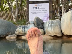 -张家港金凤凰度假村温泉