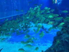 -成都浩海立方海洋公园