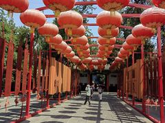 -关林