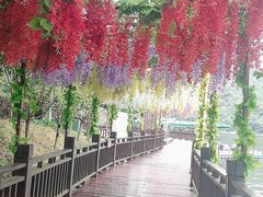 -石燕湖生态旅游景区