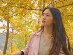 -千年银杏谷文化旅游区
