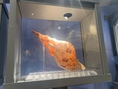 -中国湿地博物馆