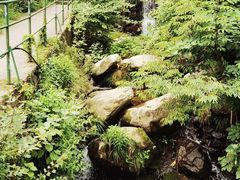 -藏龙百瀑风景区