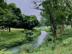 -两河城市森林公园