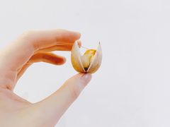 -海博汇蒸汽海鲜