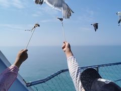 -海驴岛(荣成市)