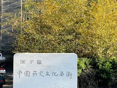 -北京国子监胡同