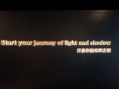 -奥斯卡升龙国际影城(RealD Cinema)