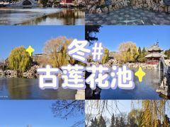 -莲池书院博物馆