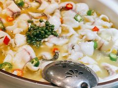 青花椒味砂锅鱼-青花椒花椒鱼黑金店(LCM店)
