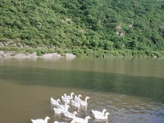 -白河湾生态旅游一条川