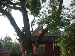 -长春观