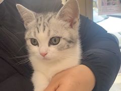 -纳吉亚猫专科动物医院博雅分院